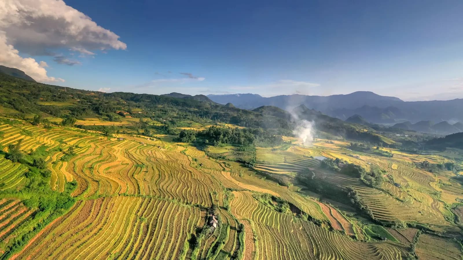 Pemandangan terasering sawah hijau dilihat dari udara